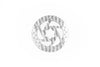 Front brake disc for Joyor Y5/ Y8 / Y10 Electric Scooter